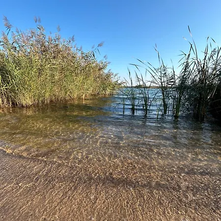 Holiday home - Idyllisches Mit Privatstrand Und Sauna In Der Naehe Von Leipzig #hauseni *