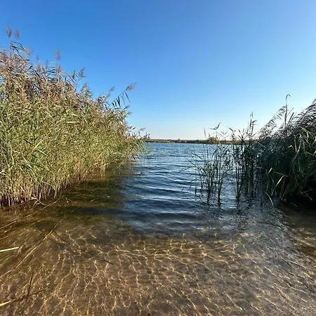 - Idyllisches Mit Privatstrand Und Sauna In Der Naehe Von Leipzig #hauseni בית נופש *